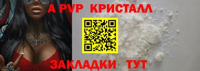 дмт Тара